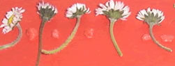 landart maternelle